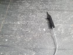 123774