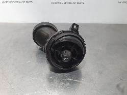 217902