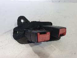 236876