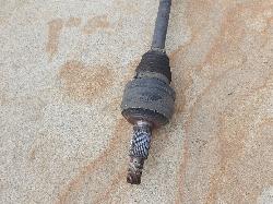 245650