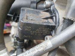245036