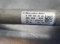 244862