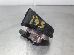 244394