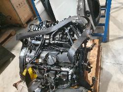 249068