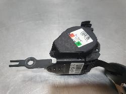 250454