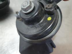 251290