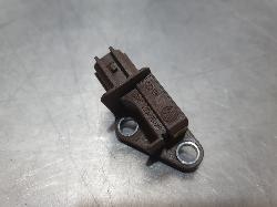 251304