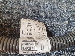 251892