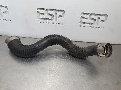 251984