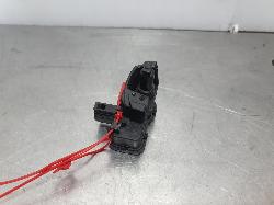 252812