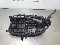 253010