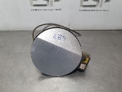 View Auto part Fuel Door / Filler Volkswagen Golf 2013